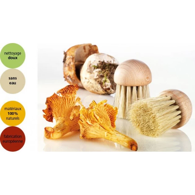 Brosse à Champignons YooCook 4 Cm 4 Brosse à Champignons YooCook 4 Cm – Image 2