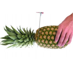 Coupe Ananas Plastique Ø 8,5 Cm X H 25 Cm Ibili -Fournitures De Cuisine coupe ananas plastique o 85 cm x h 25 cm ibili 2