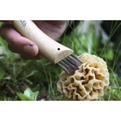 Couteau à Champignon N°8 Opinel -Fournitures De Cuisine couteau a champignon n8 opinel 3