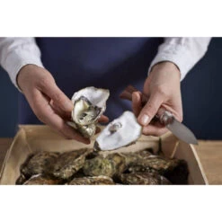 Couteau à Huîtres N°9 Opinel -Fournitures De Cuisine couteau a huitres n9 opinel 2